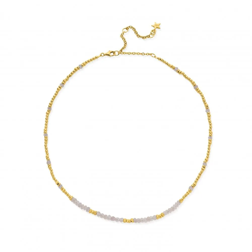 CHLOBO Gold Summer of Love Rose Quartz Choker Necklace