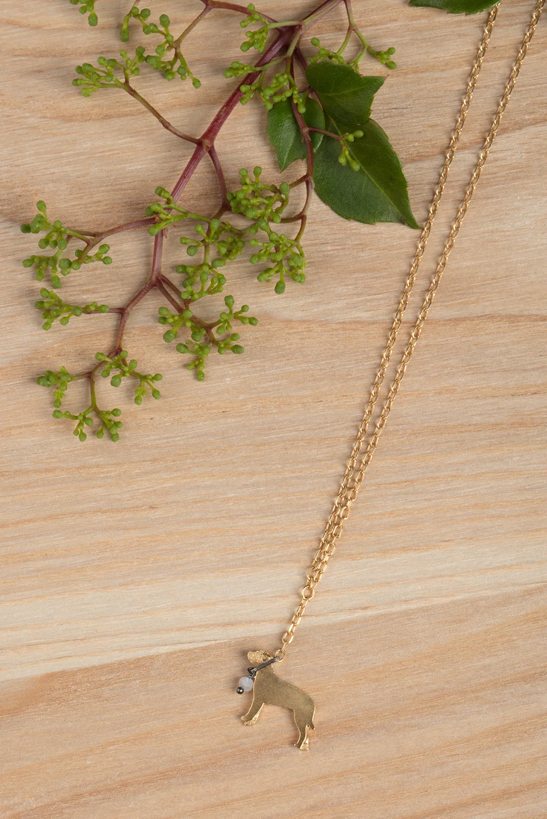 Staffordshire Bull Terrier on a lead necklace