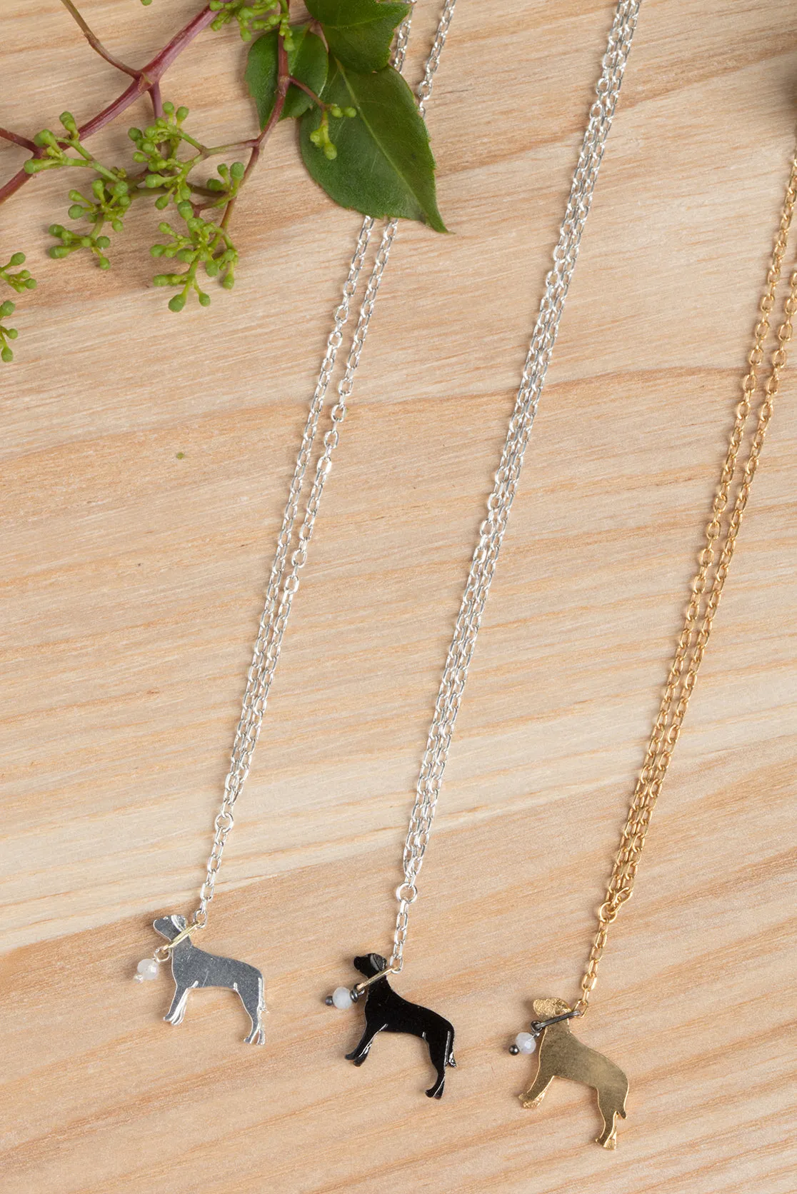 Staffordshire Bull Terrier on a lead necklace